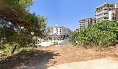01 Tatlıcım