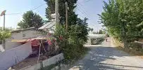 2b Akuaristik Ergül Satar