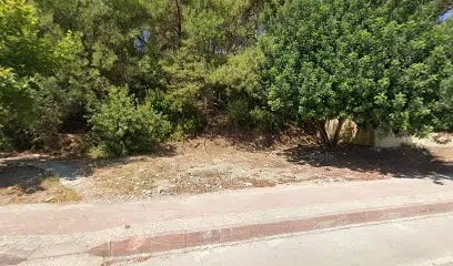 36 Souvenir - Photo 1