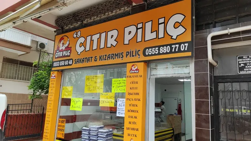 48 Çitir Pi̇li̇ç - Photo 3