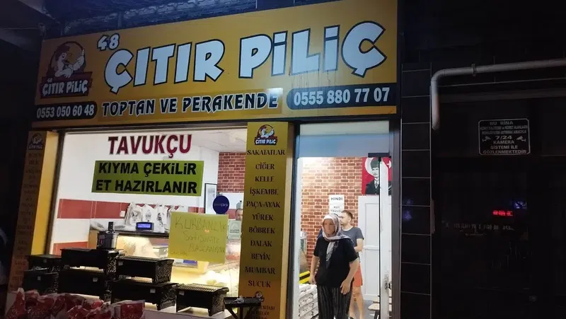 48 Çitir Pi̇li̇ç - Photo 5