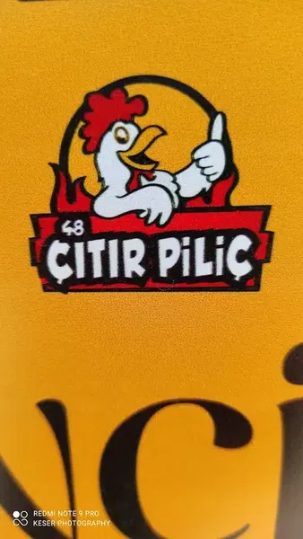 48 Çitir Pi̇li̇ç - Photo 9