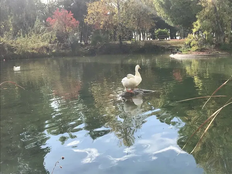 54. Uluslararası Antalya Film Festivali Festival Yolu - Photo 5