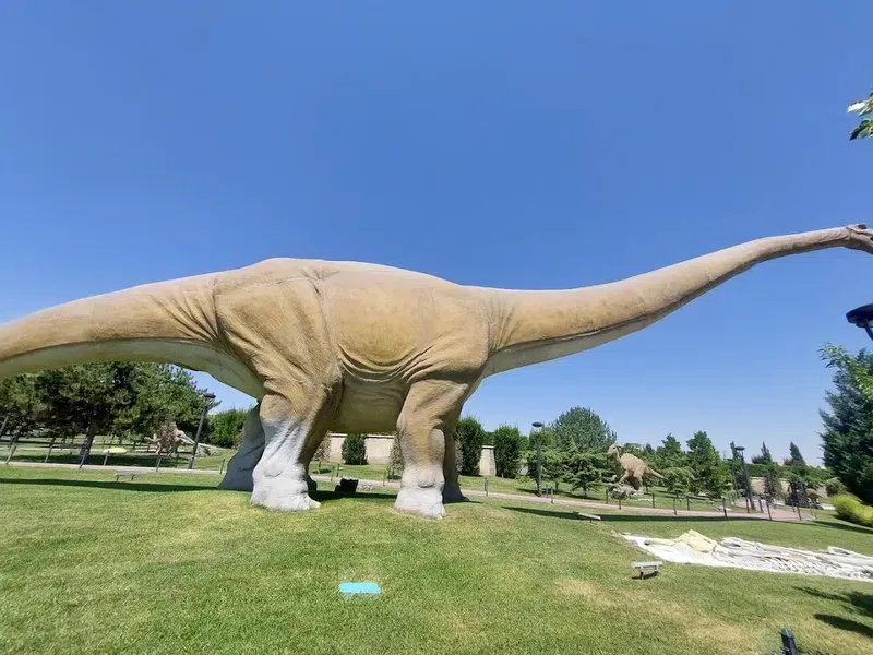 Around the World in 80 Thousand Park - Photo 9