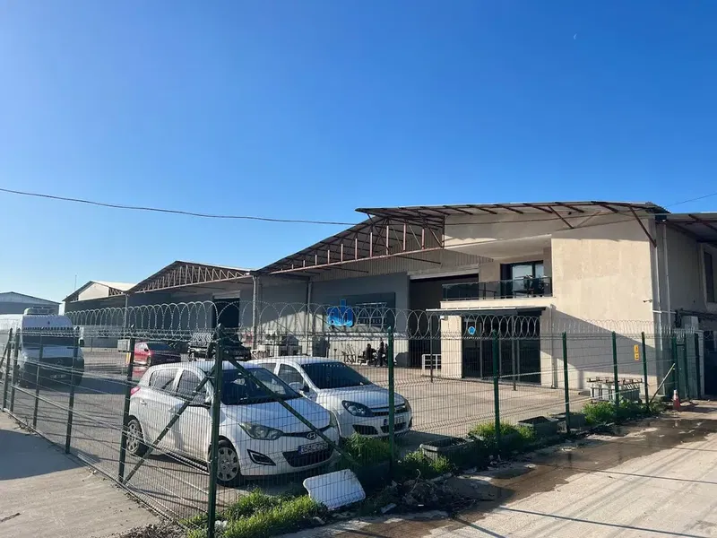 Ab Balık Su Ürünleri - Photo 2