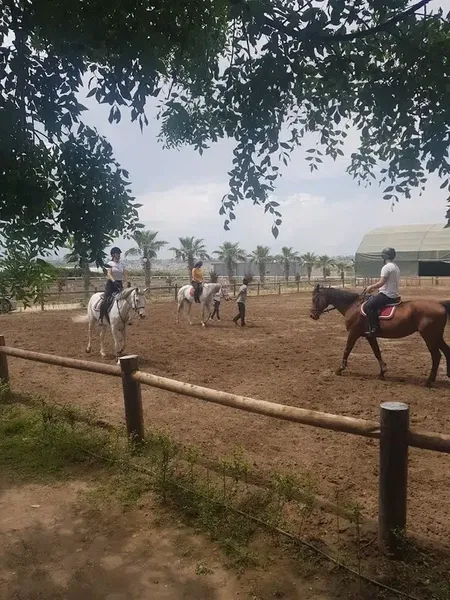 ABAK Antalya Binicilik ve Atlı Spor Kulübü - Photo 5