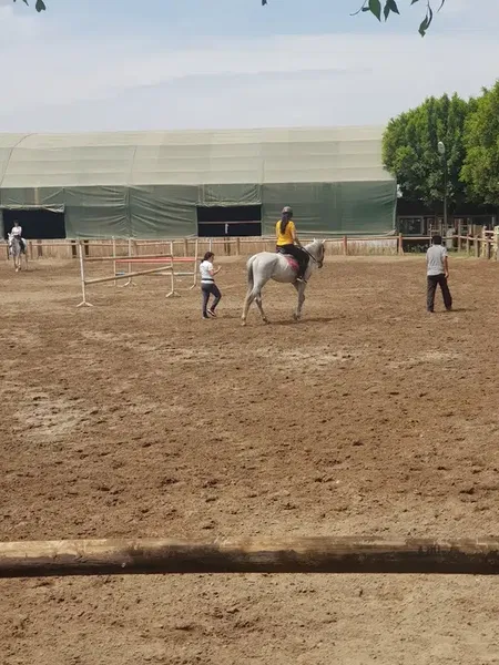 ABAK Antalya Binicilik ve Atlı Spor Kulübü - Photo 9