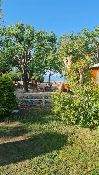 Ada Pansiyon - Photo 5