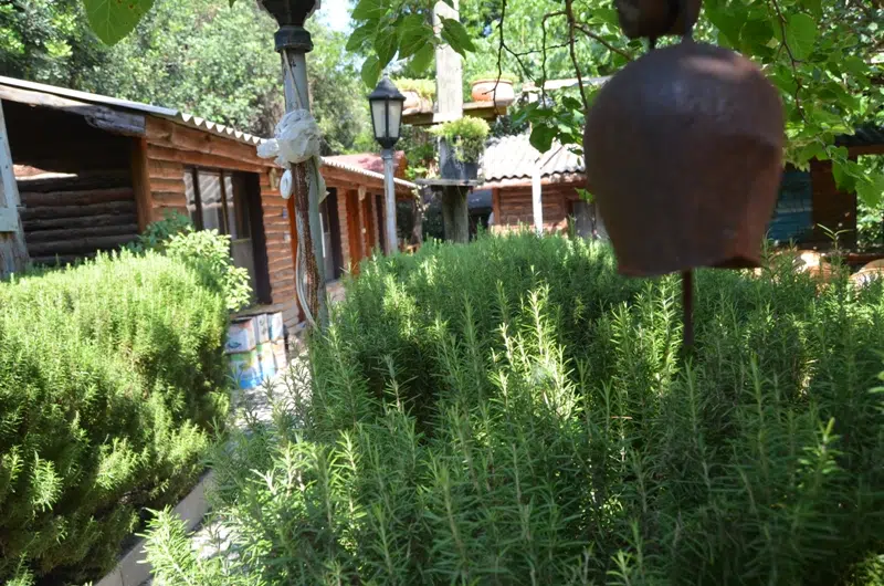 Ada Pansiyon - Photo 5