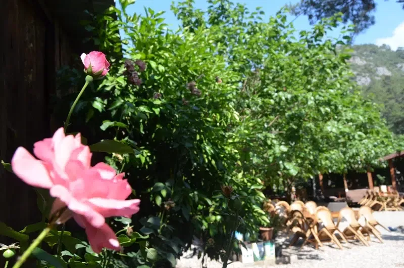 Ada Pansiyon - Photo 6