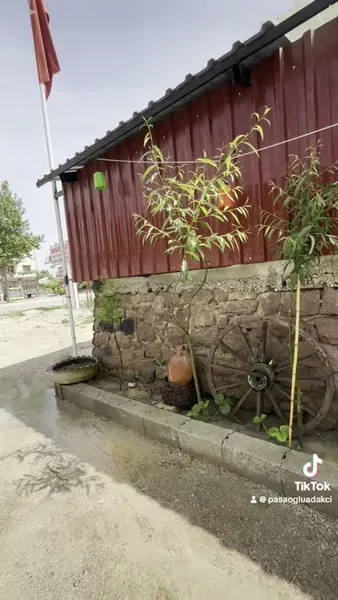 Adakci Paşaoğlu - Photo 2