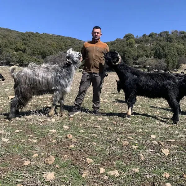 Adaklık ve kurbanlık (haytaoğlubesicilik) - Photo 7