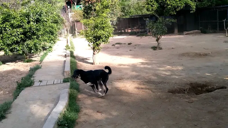 Adenya Lojman - Photo 5