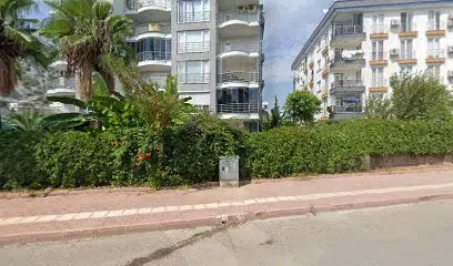 Adopen Genel Müdürlük