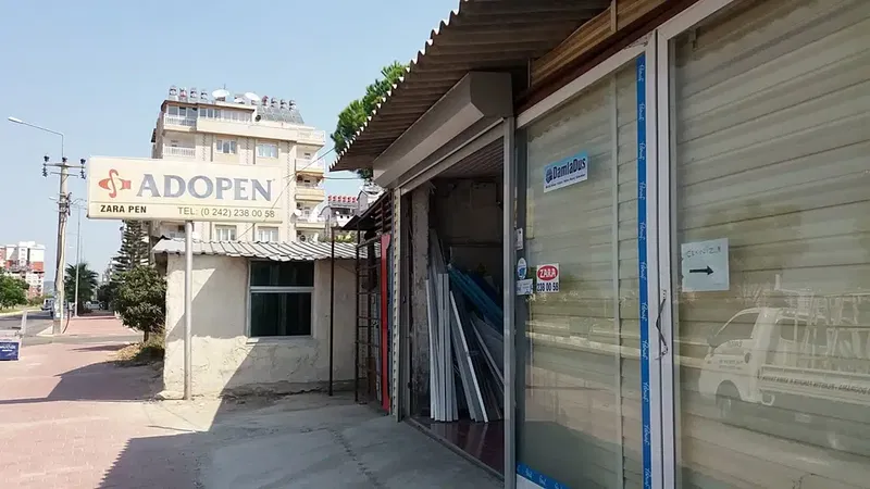 Adopen Zarapen - Photo 1