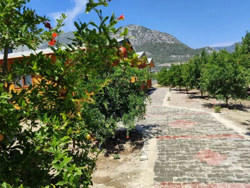 Adrasan ADATA Apart Bungalov Evleri - Photo 5