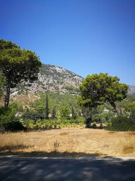 Adrasan Fikri Apart - Photo 5