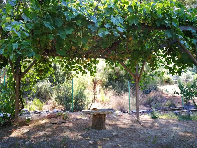 Adrasan Fikri Apart - Photo 6