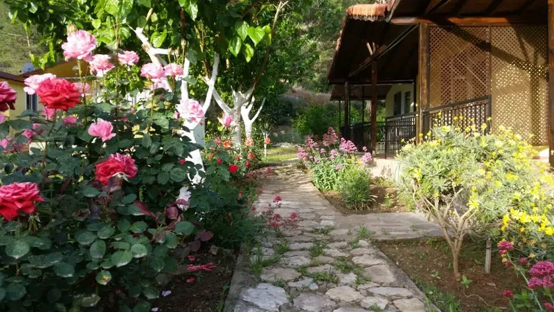 Adrasan Fikri Apart - Photo 9