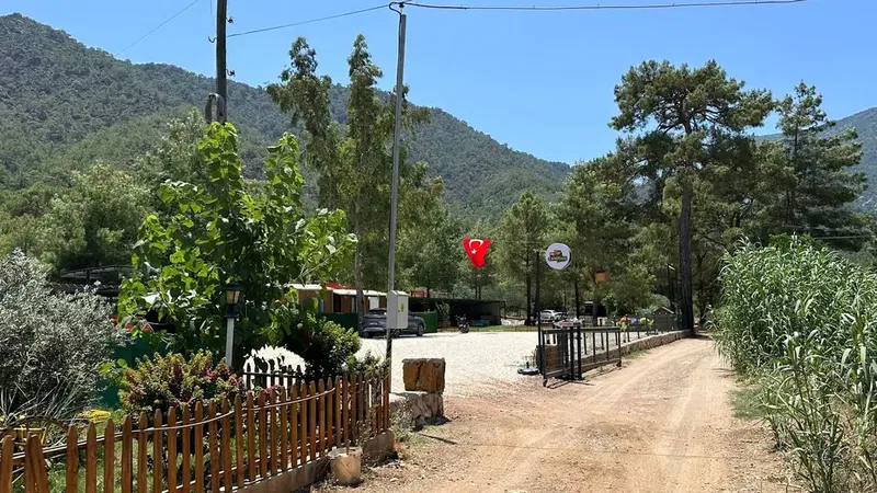 Adrasan Forest Camping Karavan Park - Photo 3