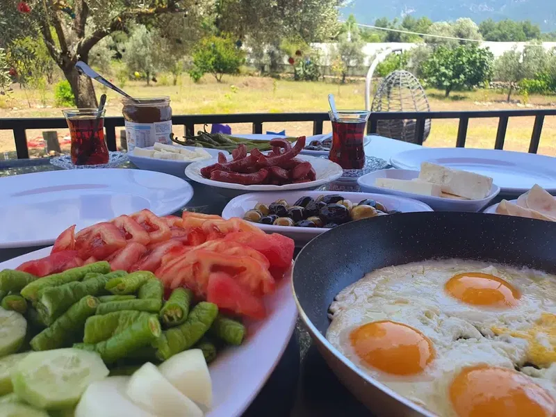 Adrasan Keyfedeğer - Photo 5