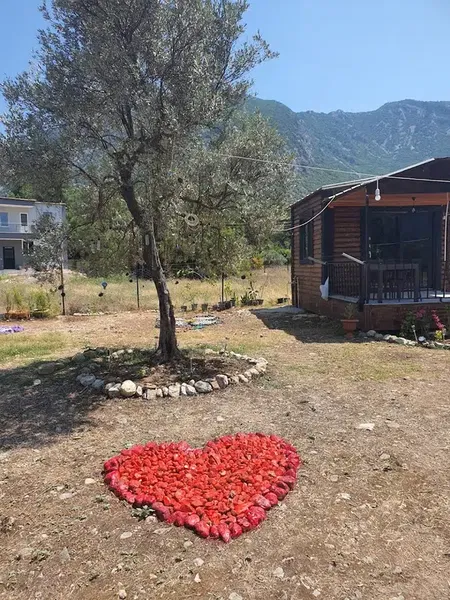 Adrasan Keyfedeğer - Photo 6