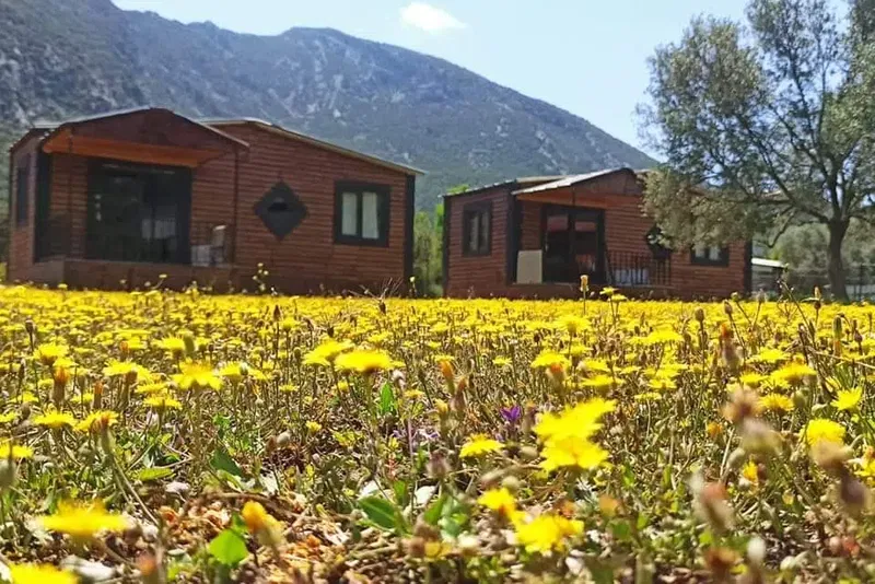 Adrasan Keyfedeğer - Photo 10