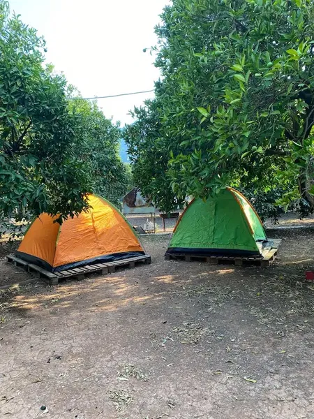 Adrasan pusula camping - Photo 6