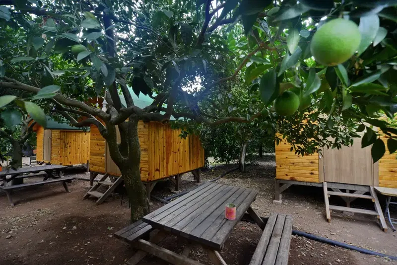 Adrasan pusula camping - Photo 8