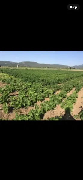 Agro Alaz Kimya - Photo 8