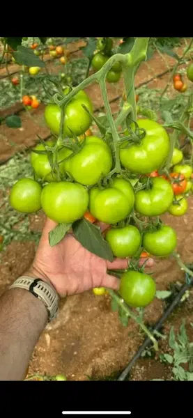 Agro Alaz Kimya - Photo 9
