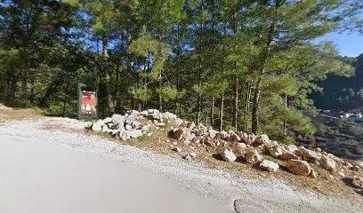 Ahemds place