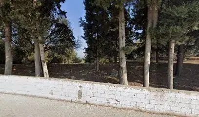 Ahmadiyya Cemetery