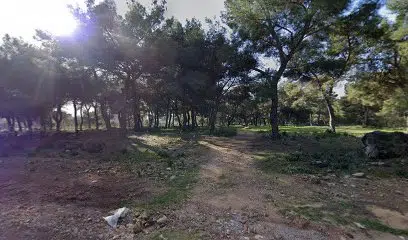 Ahır - Photo 1