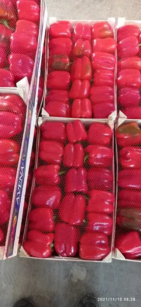 Akbabalar İnşaat Hafriyat Soğukhava Deposu Hazırsıva Tesisi - Photo 2