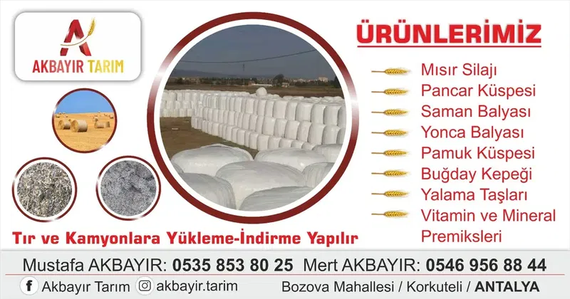 Akbayir Tarim Korkuteli̇ Cp Yem Bayi̇i̇ - Photo 2