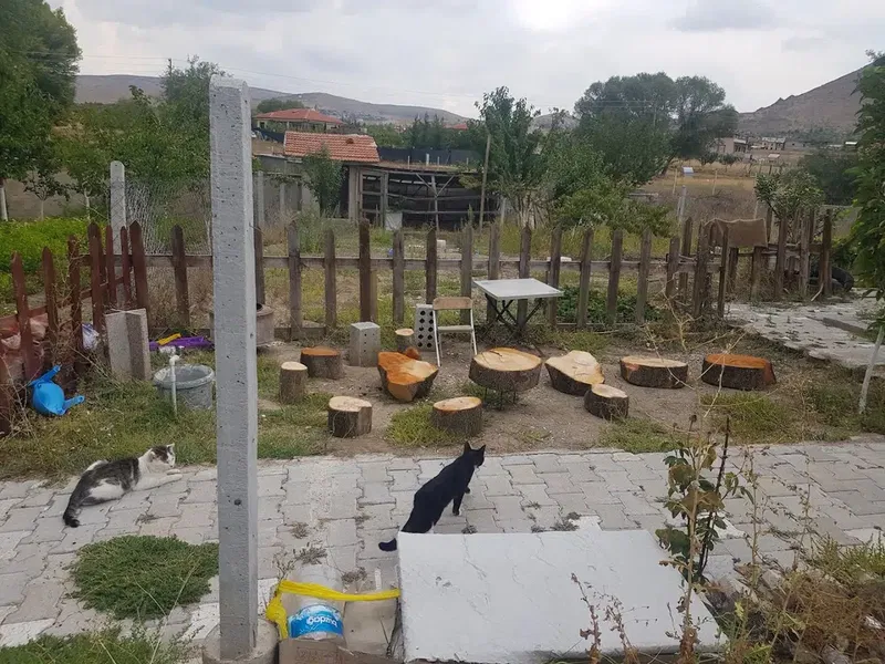 Akc teknik Bahçe - Photo 2