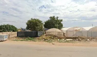 Akdas tarım 2