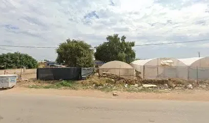 Akdas tarım 2 - Photo 1