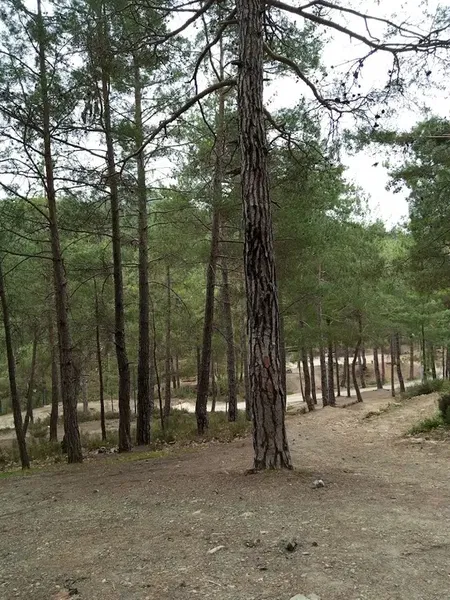 Akdağ Kayak Merkezi - Photo 5