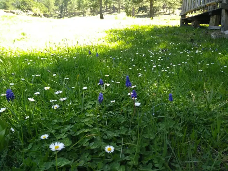 Akdağ Pansiyon - Photo 4