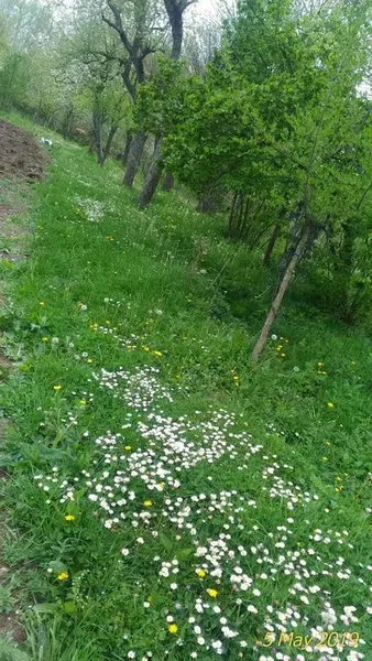 Akdağ Pansiyon - Photo 7