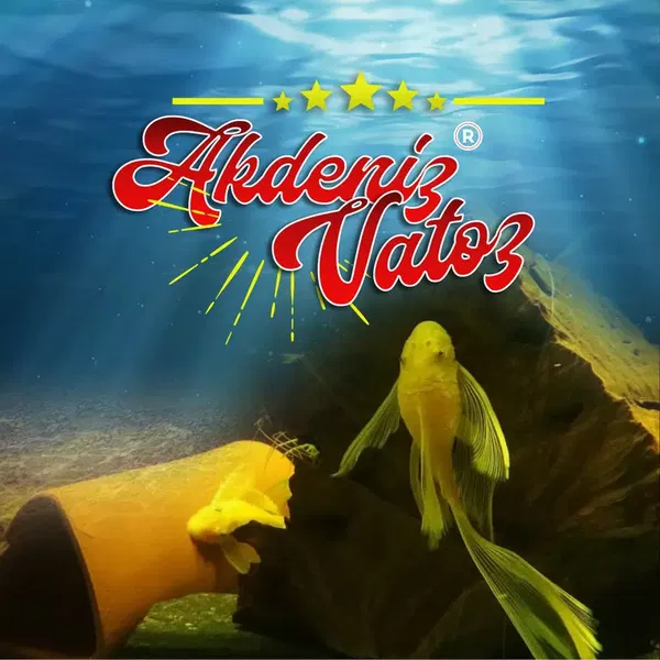 Akdeniz Vatoz Üretim (Emre Uslu) - Photo 1