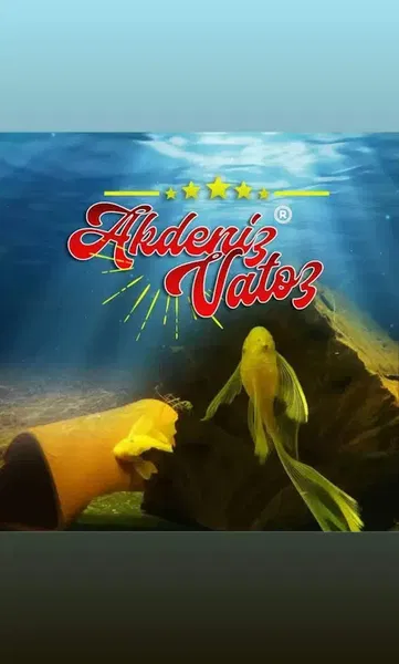Akdeniz Vatoz Üretim (Emre Uslu) - Photo 7