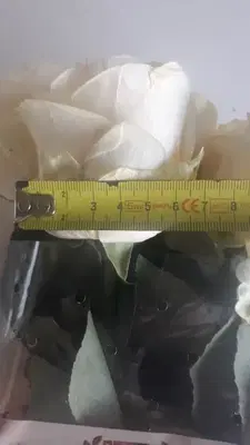 Akdeniz Çiçek Marketi