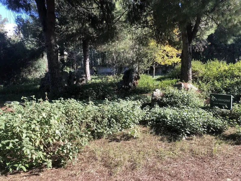 Akdeniz Üniversitesi Botanik Bahçesi - Photo 2