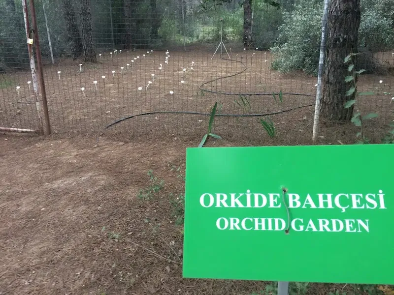 Akdeniz Üniversitesi Botanik Bahçesi - Photo 5