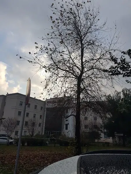 Akdeniz University Faculty of Nursing - Photo 5