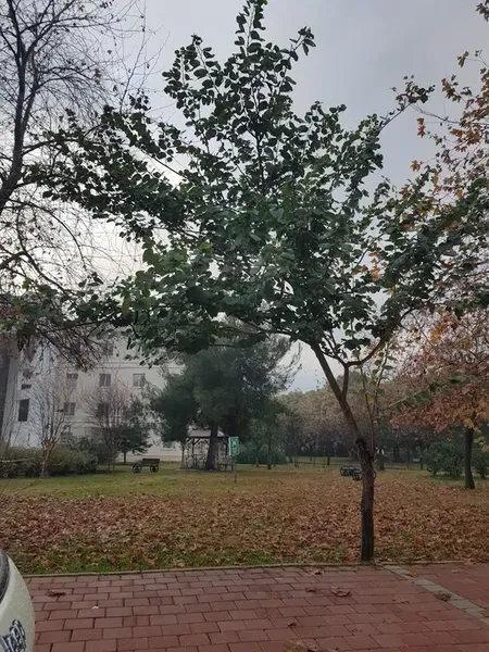 Akdeniz University Faculty of Nursing - Photo 9