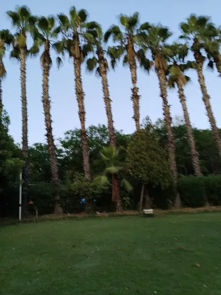 Akdeniz Üniversitesi Sosyal Tesisler - Photo 6